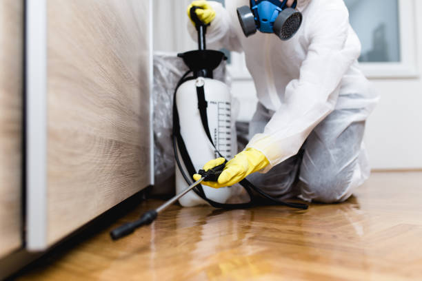 Best Pest Control Near Me in Lake Wales, FL