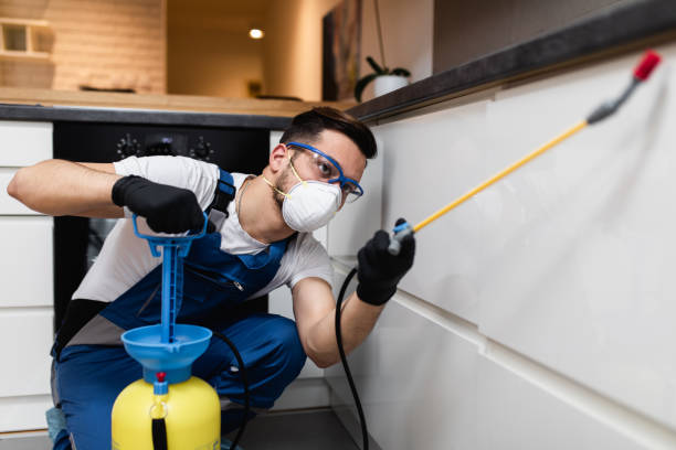 Best Local Pest Control Services  in Lake Wales, FL
