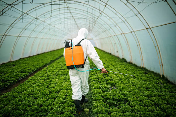 Best Pest Control for Restaurants  in Lake Wales, FL