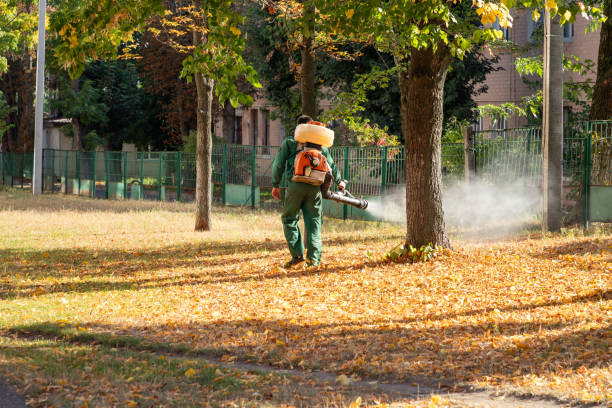 Best Affordable Pest Control Services  in Lake Wales, FL