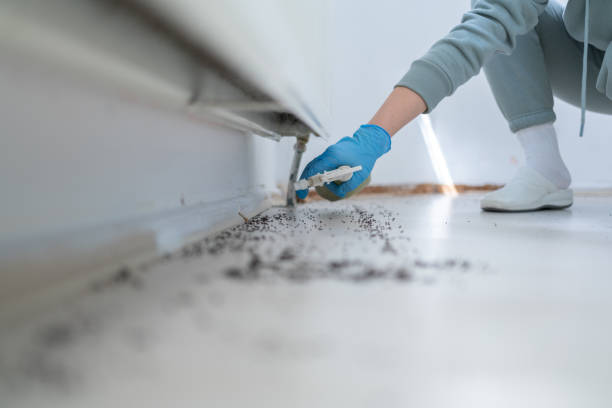 Bird Control in Lake Wales, FL
