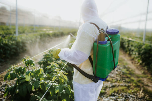 Best Affordable Pest Control Services  in Lake Wales, FL